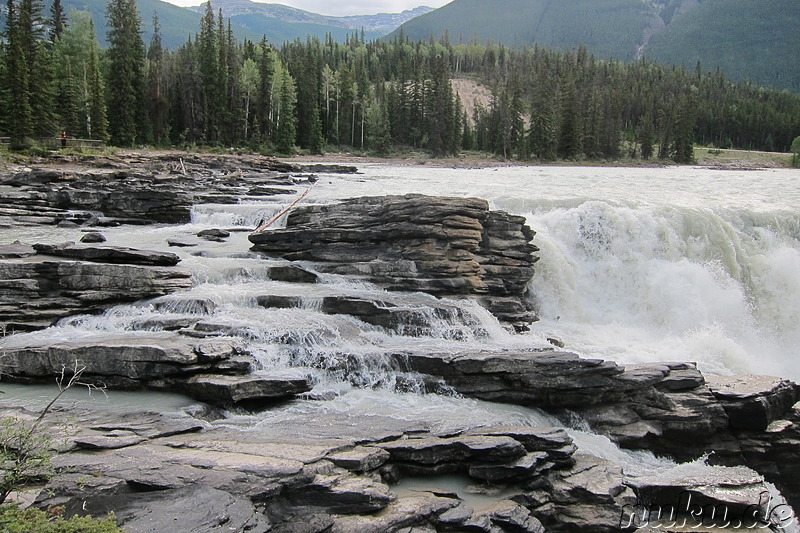 Athabasca Falls - Wasserfall im Jasper National Park, Kanada