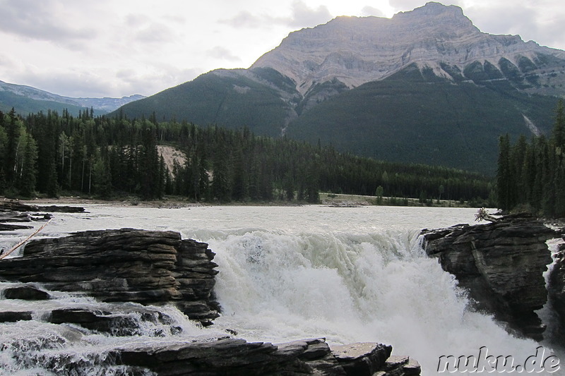 Athabasca Falls - Wasserfall im Jasper National Park, Kanada