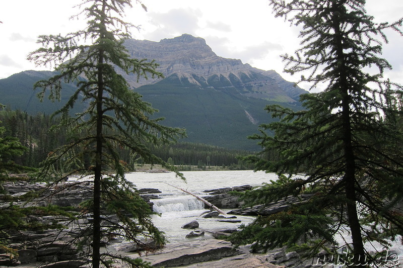 Athabasca Falls - Wasserfall im Jasper National Park, Kanada