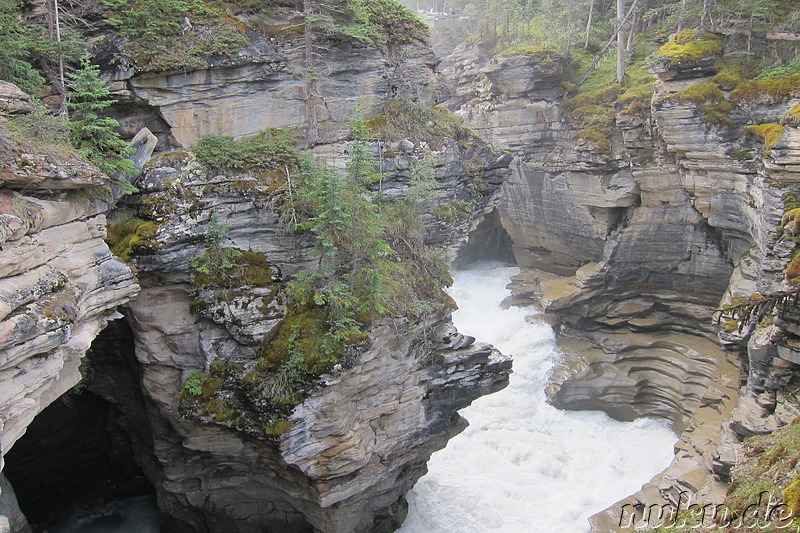 Athabasca Falls - Wasserfall im Jasper National Park, Kanada