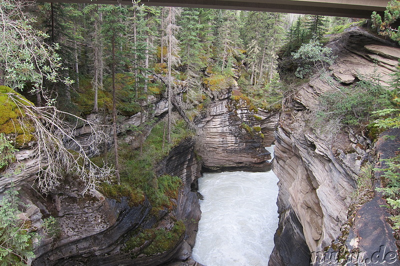 Athabasca Falls - Wasserfall im Jasper National Park, Kanada