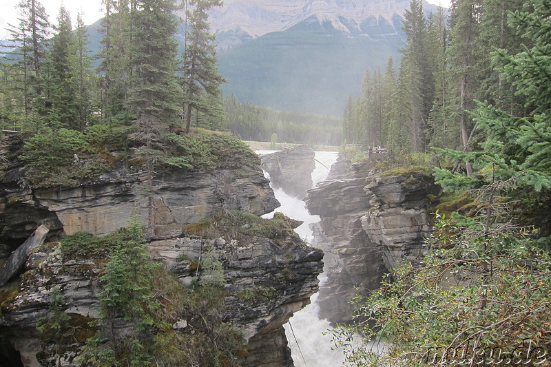 Athabasca Falls - Wasserfall im Jasper National Park, Kanada