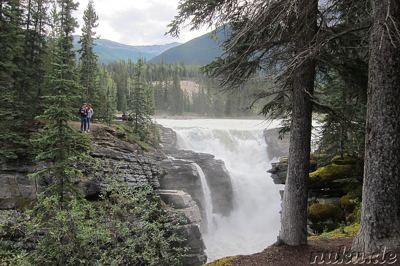 Athabasca Falls - Wasserfall im Jasper National Park, Kanada