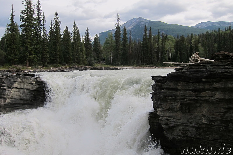 Athabasca Falls - Wasserfall im Jasper National Park, Kanada