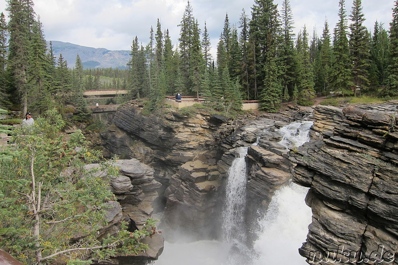 Athabasca Falls - Wasserfall im Jasper National Park, Kanada
