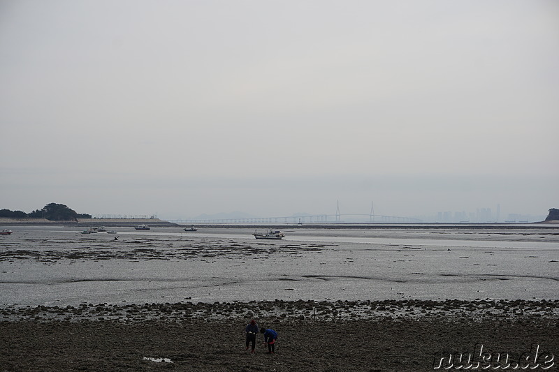 Auf dem Weg zum Fähranleger auf Jamjindo Island, Korea