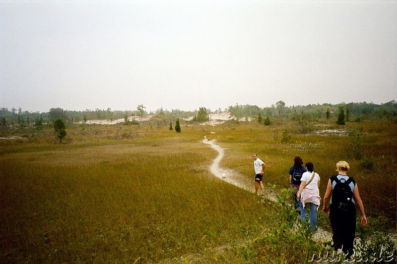 Auf dem Weg zum Ontariosee - Lake Ontario, Kanada