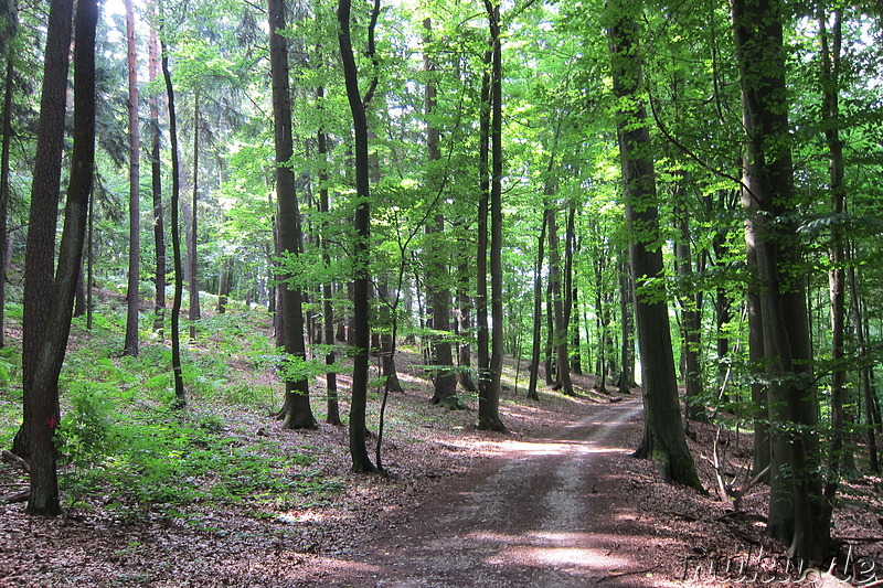 Auf dem Weg zum Sängerehrenmal des Fränkischen Sängerbundes bei Lohndorf