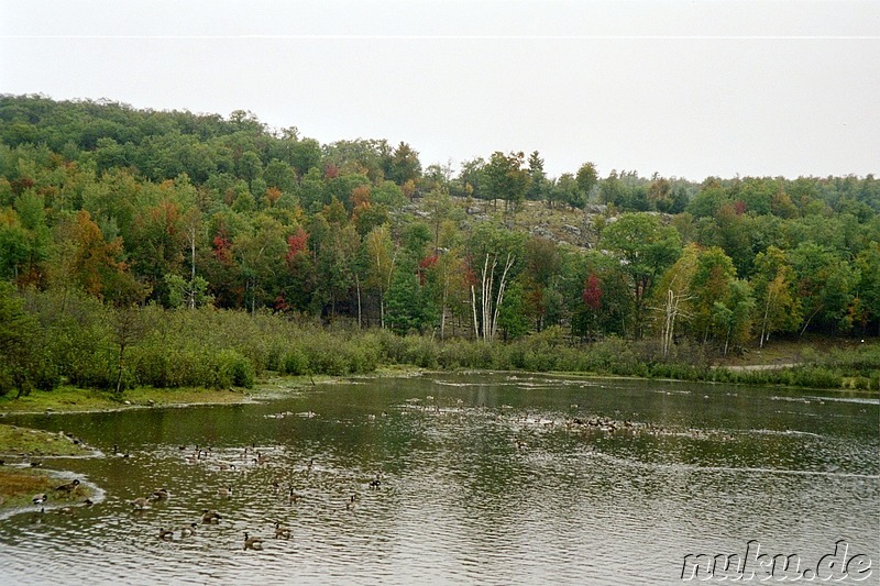 Auf Safari im Parc Omega - Tierpark in Quebec, Kanada