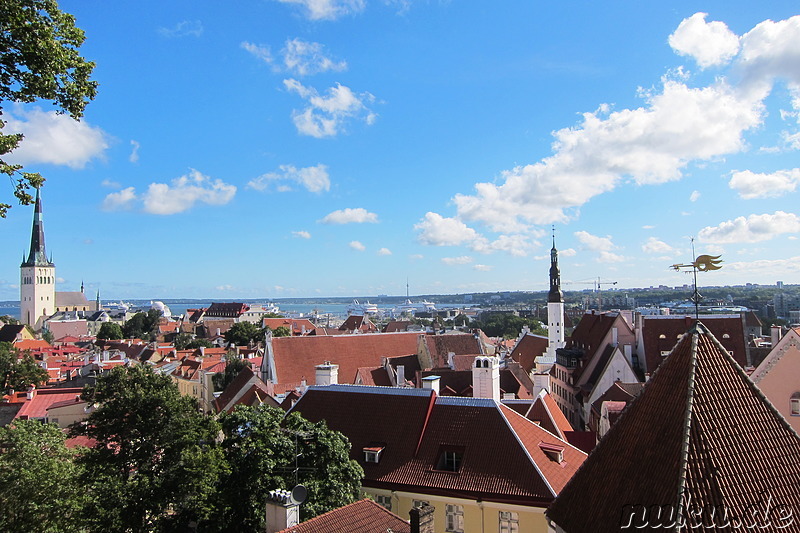 Ausblick auf Tallinn, Estland