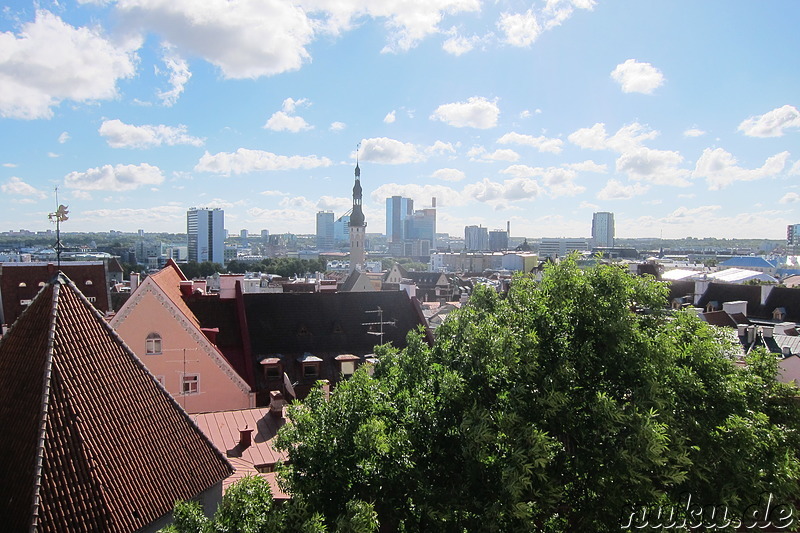 Ausblick auf Tallinn, Estland