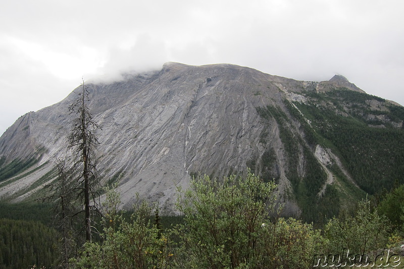 Ausblick, irgendwo im Banff National Park, Kanada