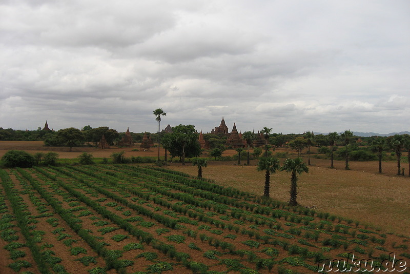 Ausblick vom Khay Min Gha - Tempel in Bagan, Myanmar/