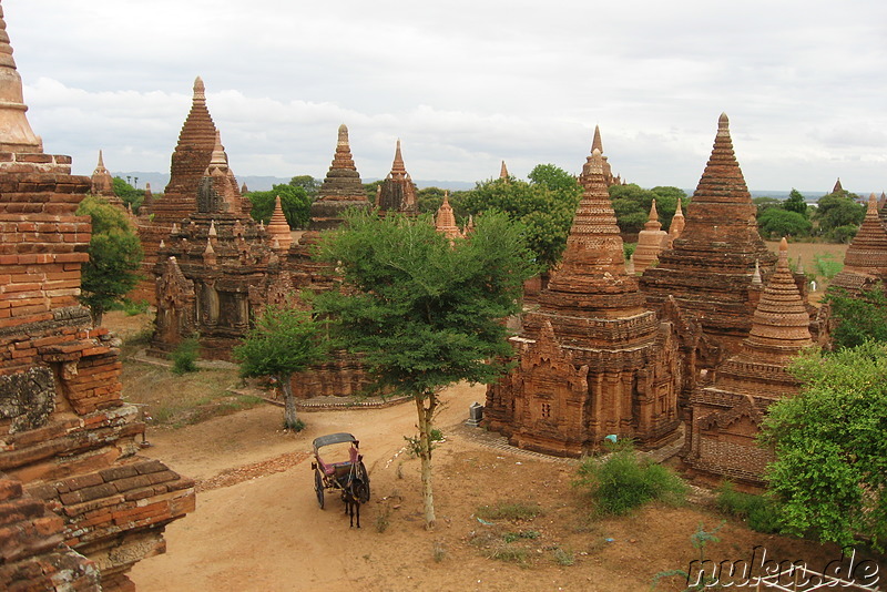 Ausblick vom Khay Min Gha - Tempel in Bagan, Myanmar/