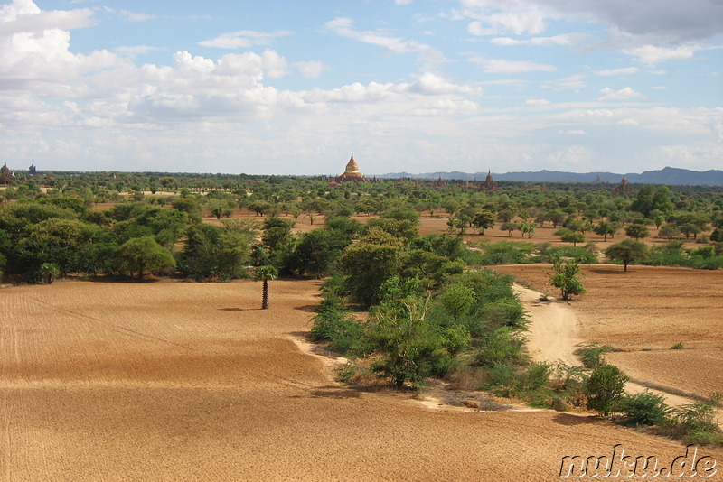 Ausblick vom Pyathada Paya - Tempel in Bagan, Myanmar