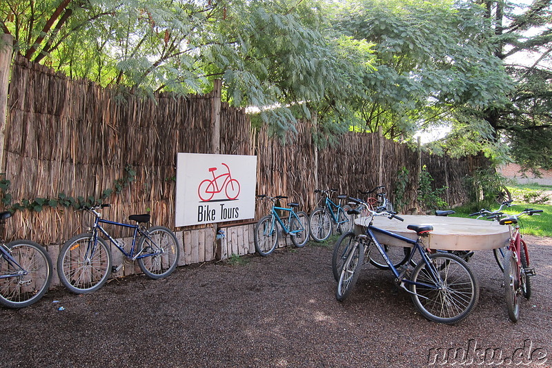 Baccus Vineyards Biking in Chacras de Coria, Argentinien