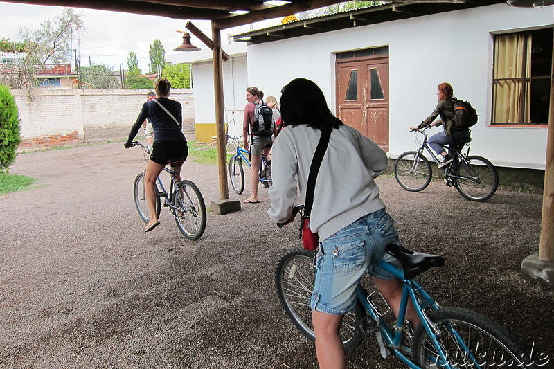 Baccus Vineyards Biking in Chacras de Coria, Argentinien