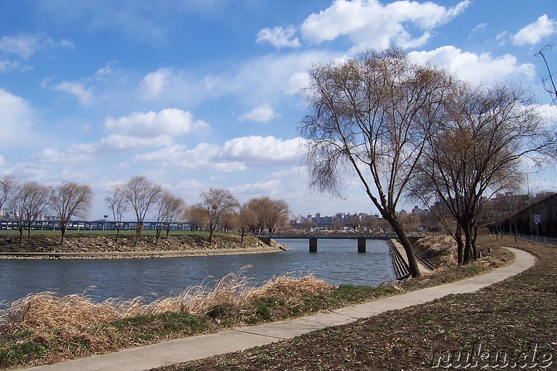 Banpo Hanriver Park