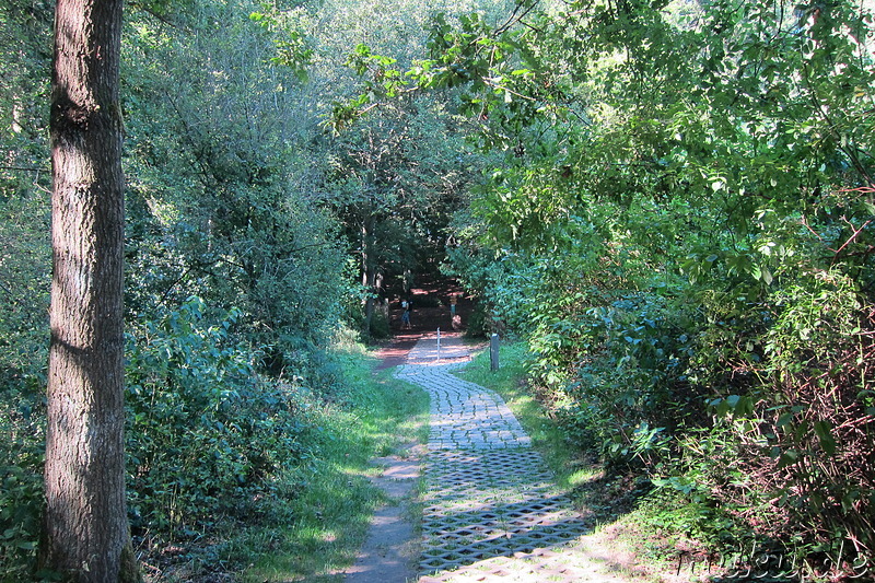 Barfußpark in Egestorf, Niedersachsen