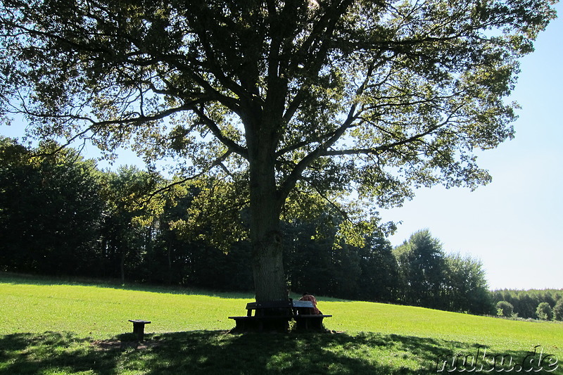 Barfußpark in Egestorf, Niedersachsen