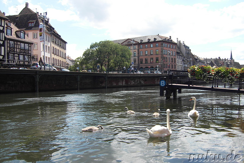 Batorama Boat Trip auf der Ill in Strasbourg, Frankreich
