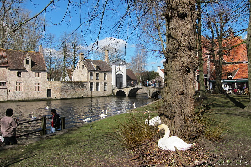 Begijnhof in Brügge, Belgien