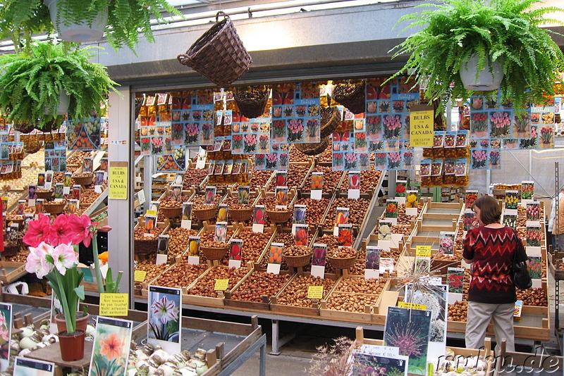 Bekannt sind die Niederlande insbesondere für die angebotene Tulpenvielfalt