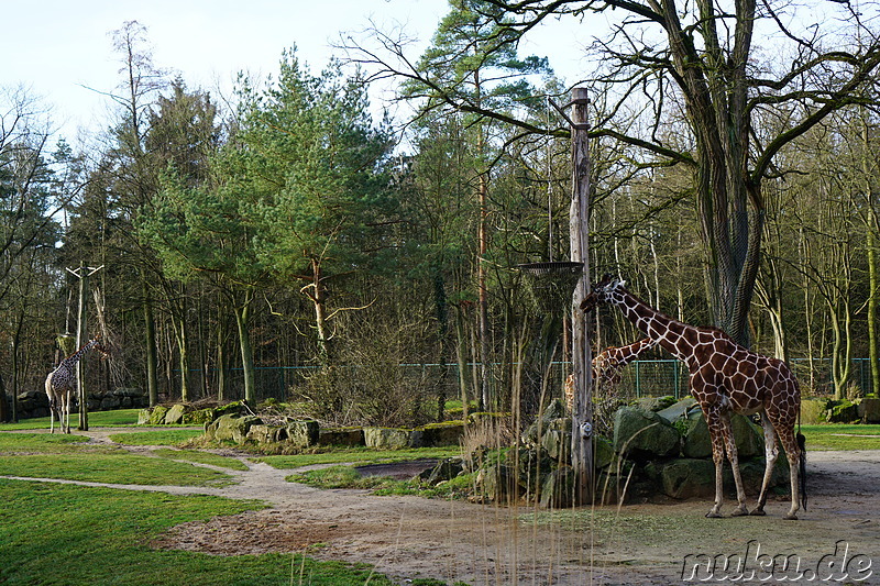 Besuch im Tiergarten Nürnberg im April 2018