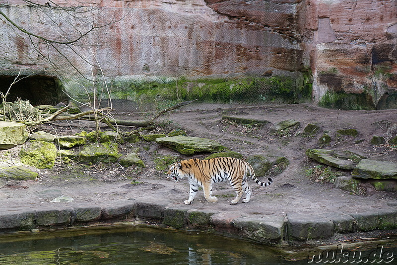 Besuch im Tiergarten Nürnberg im April 2018