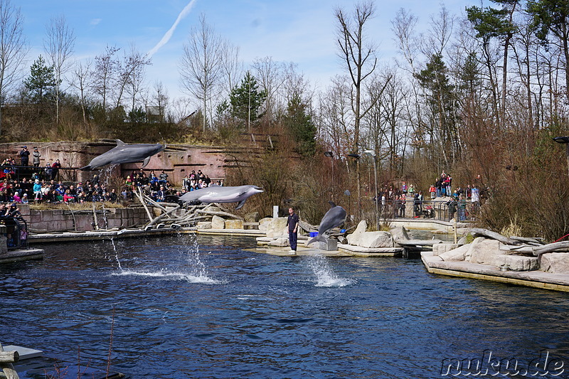 Besuch im Tiergarten Nürnberg im April 2018