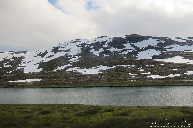 Blick aus dem Fenster auf der Zugfahrt von Myrdal nach Oslo in Norwegen