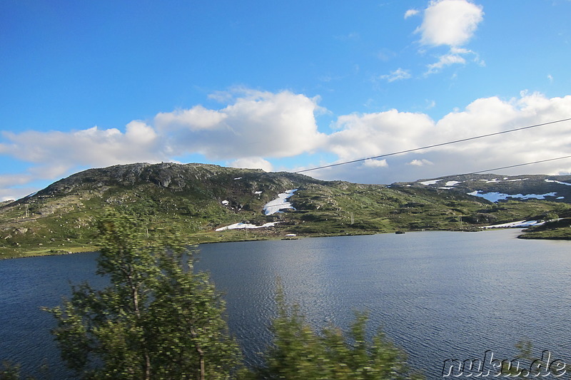Blick aus dem Fenster auf der Zugfahrt von Myrdal nach Oslo in Norwegen
