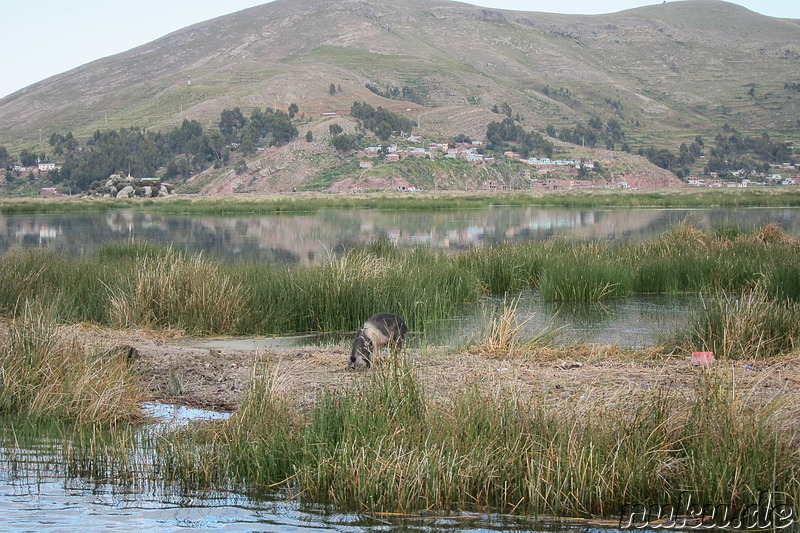 Bootsfahrt auf dem Titicaca-See, Peru