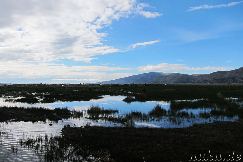 Bootsfahrt auf dem Titicaca-See, Peru