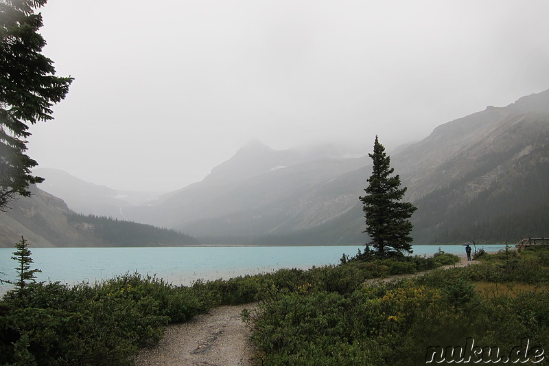 Bow Lake - See im Banff National Park, Kanada