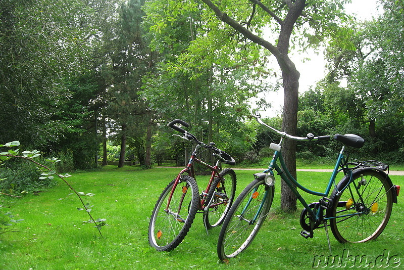 Bürgerpark in Braunschweig