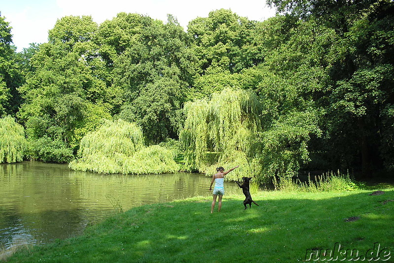 Bürgerpark in Braunschweig