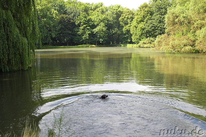 Bürgerpark in Braunschweig