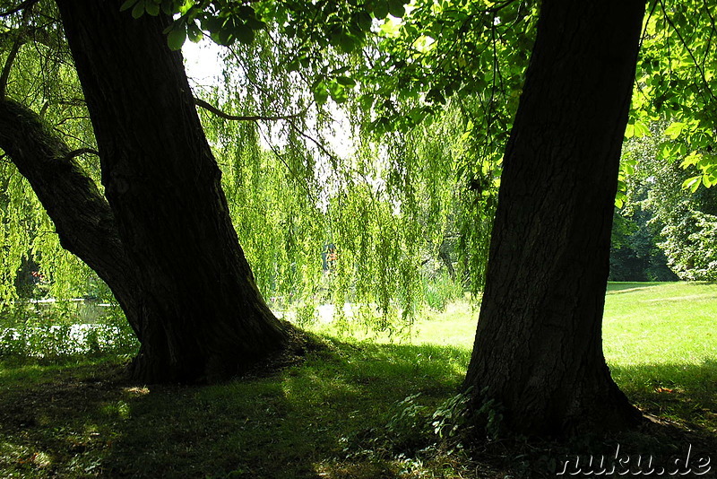 Bürgerpark in Braunschweig