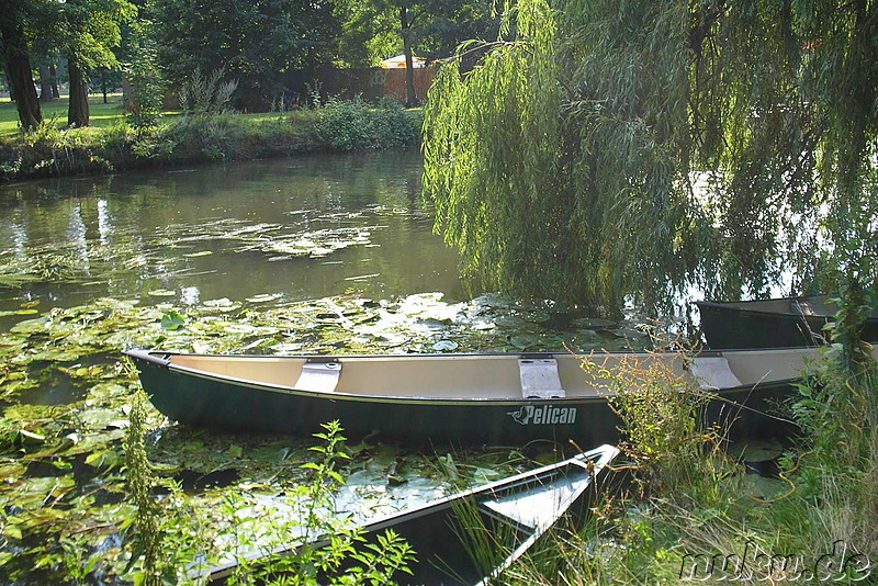 Bürgerpark in Braunschweig