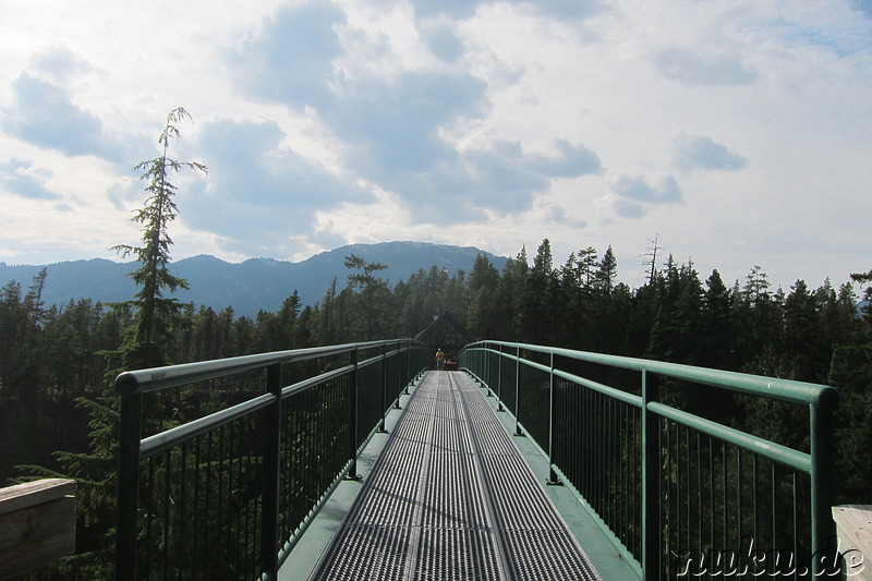 Bungee Jumping in Whistler, Kanada