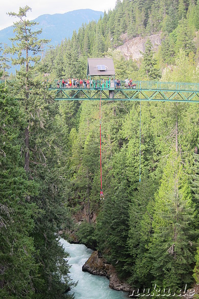 Bungee Jumping in Whistler, Kanada