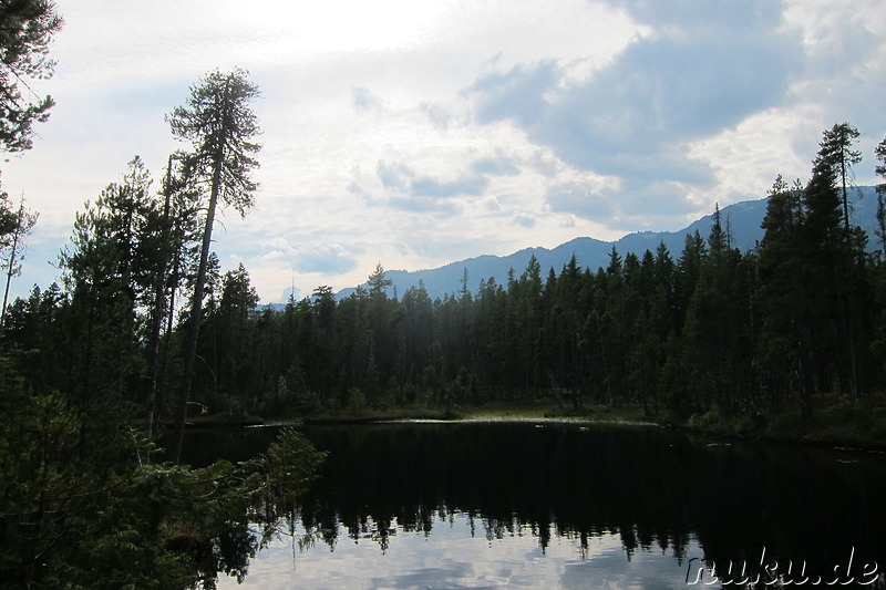 Bungee Jumping in Whistler, Kanada