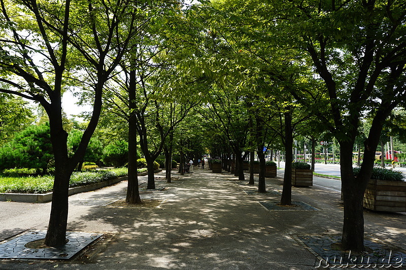 Bupyeong Park (부평공원) in Incheon, Korea