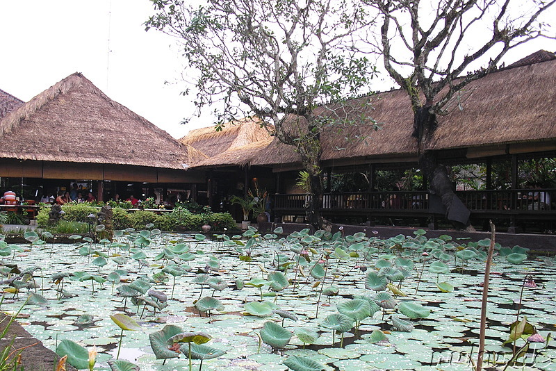 Cafe Lotus am Pura Taman Saraswati Tempel in Ubud