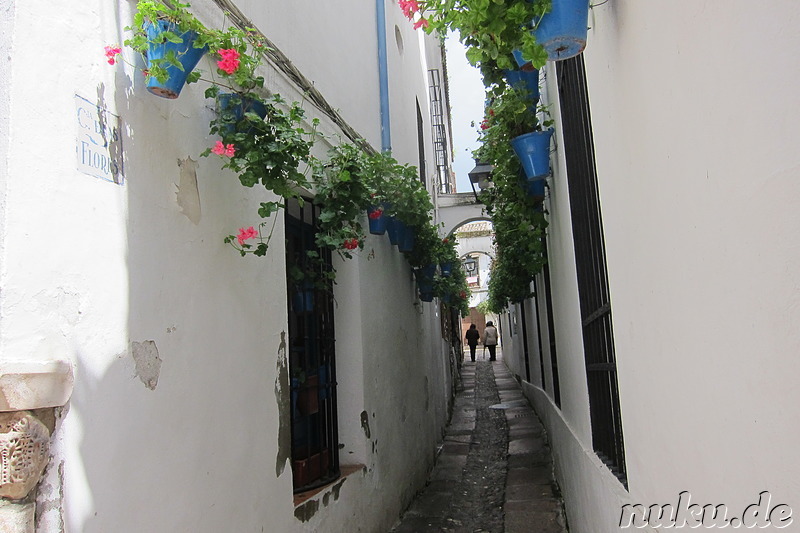 Calleja de las Flores in Cordoba, Spanien