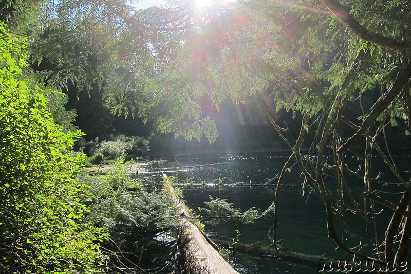 Cameron Lake im MacMillan Provincial Park auf Vancouver Island, Kanada