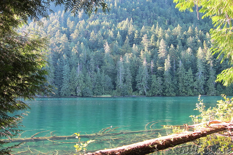 Cameron Lake im MacMillan Provincial Park auf Vancouver Island, Kanada