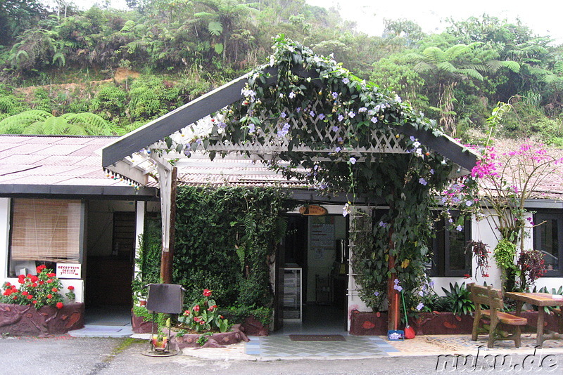 Cameronian Inn, Tanah Rata, Malaysia