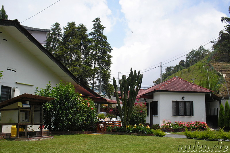 Cameronian Inn, Tanah Rata, Malaysia